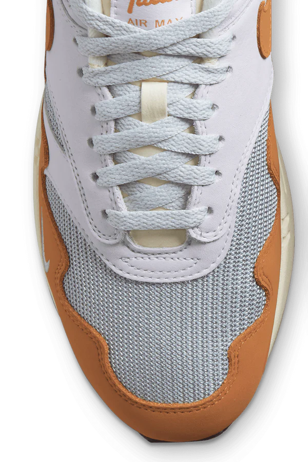 Nike Air Max 1 PATTA Waves Monoarch