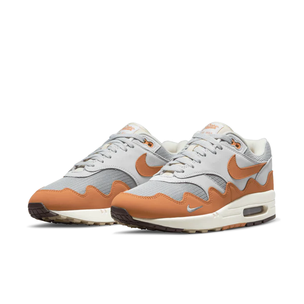 Nike Air Max 1 PATTA Waves Monoarch