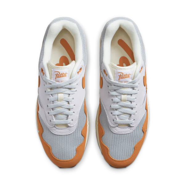 Nike Air Max 1 PATTA Waves Monoarch